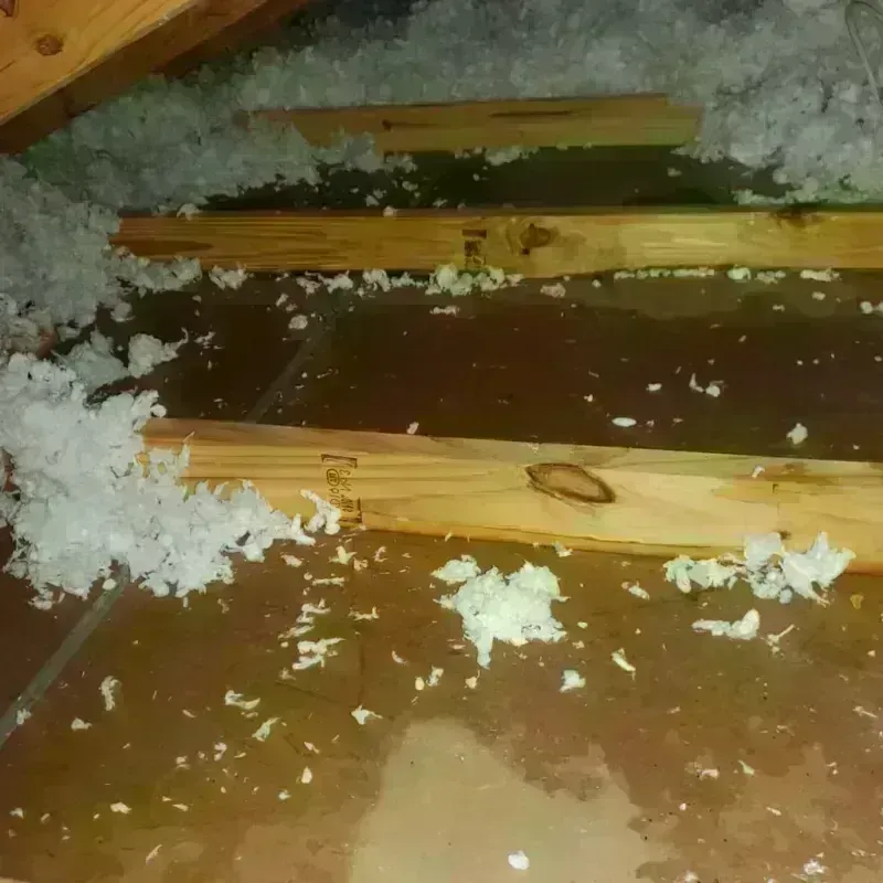 Attic Water Damage in Gordonsville, TN